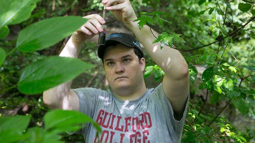 Environmental Studies student testing Greensboro water run off from a leaf on a tree.