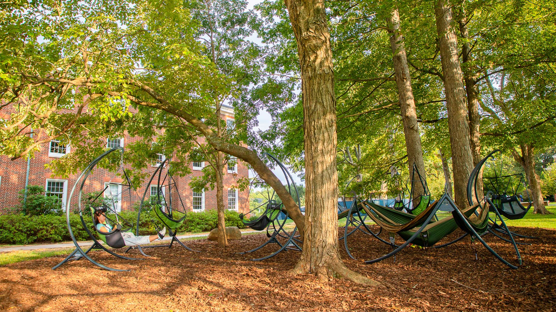 Lounging area with hammocks shown outside Milner Hall.
