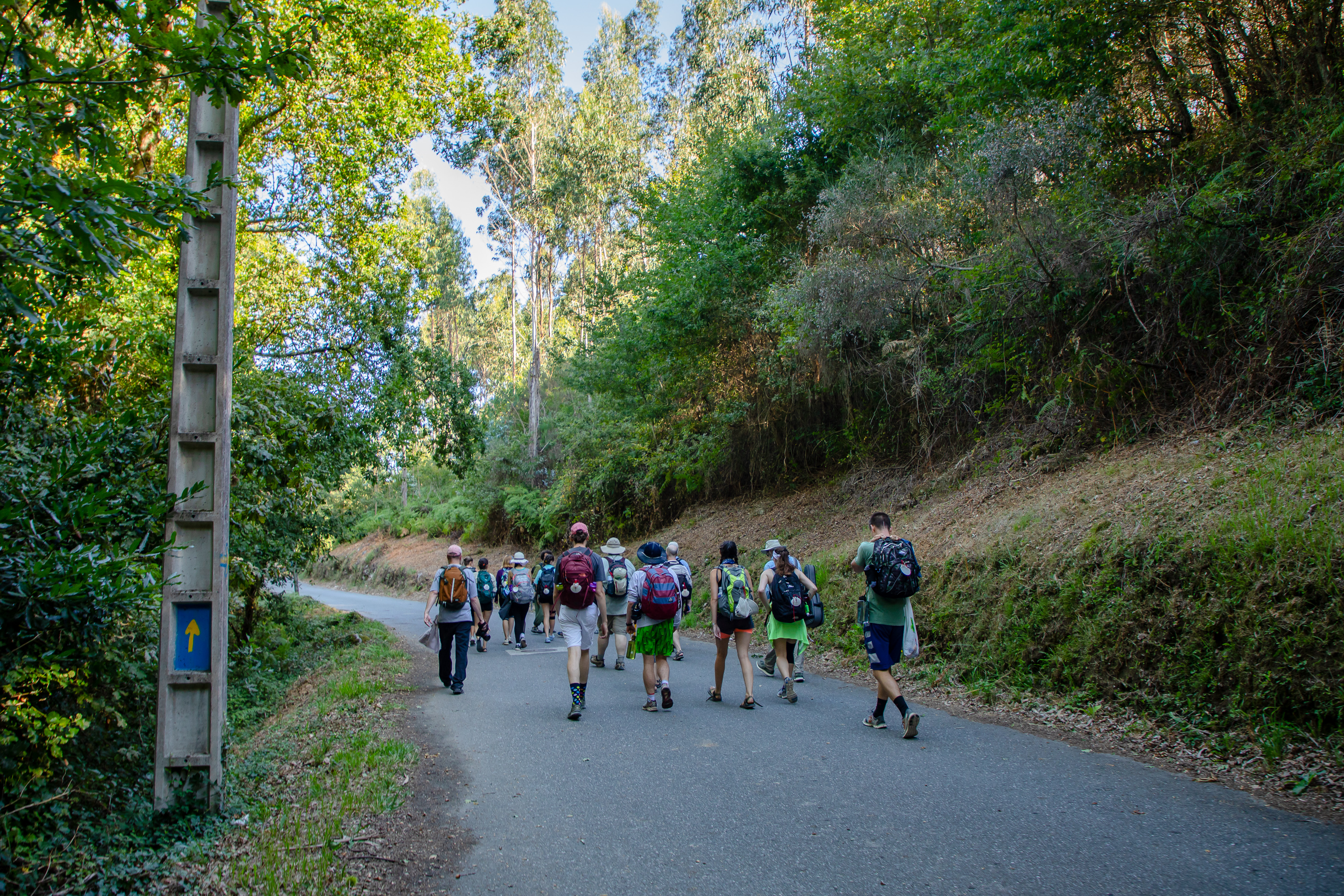 Students spent four days hiking El Camino in Spain.